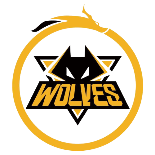 资金管理 资金管理