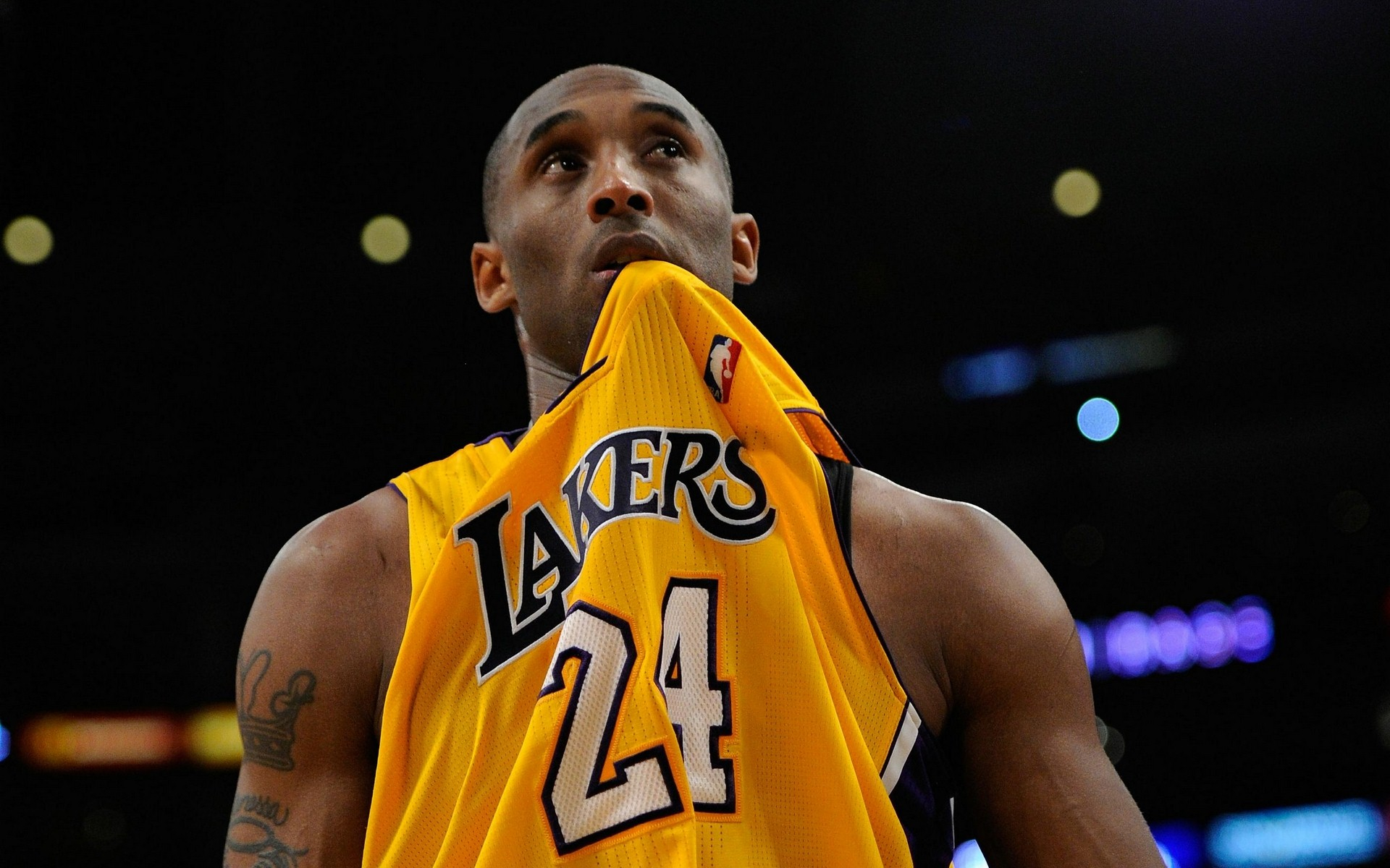 系统维护 系统维护